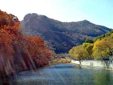 澳门二四六天天彩图库，综漫之春日野悠